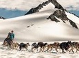 Helicopter Glacier Dog Sledding