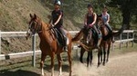 Half-Day Horseback Ride in Tuscany