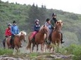 Icelandic Horseback Riding Tour from Reykjavik