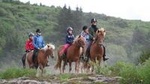 Icelandic Horseback Riding Tour from Reykjavik
