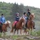 Icelandic Horseback Riding Tour from Reykjavik