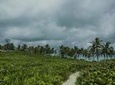Isla Contoy and Isla Mujeres Tour with Snorkeling from Cancun or Playa del Carmen