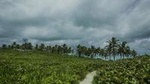Isla Contoy and Isla Mujeres Tour with Snorkeling from Cancun or Playa del Carmen