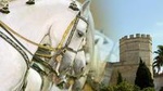 Jerez Historic Guided Tour with Horse Show