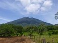 Maderas Volcano Hike from Isla de Ometepe
