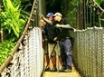 Mistico Park Hanging Bridges Guided Tour