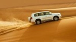 Morning Dubai Desert Dune Bashing and Camel Ride