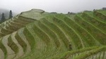 One Day Private Longshen Rice Terraces Tour Including Lunch