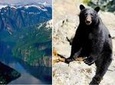 Prince of Wales Island Bear-Viewing Tour By Air From Ketchikan