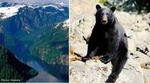 Prince of Wales Island Bear-Viewing Tour By Air From Ketchikan