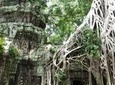 Private Angkor Temples Walking Tour from Siem Reap