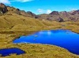 Private Cajas National Park Half-Day Tour from Cuenca