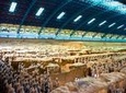 Private Day Tour: Terracotta Warriors, Small Wild Goose Pagoda, City Wall and Muslim Quarter