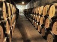 Private Tour: Santa Rita Vineyard with Wine Tastings