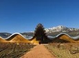 Rioja Full Experience Tour from San Sebastian with Lunch