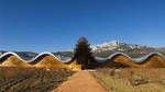 Rioja Full Experience Tour from San Sebastian with Lunch