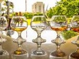Rum Tasting Tour - Casa BACARDÍ Puerto Rico