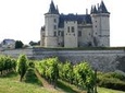 Small Group Wine-Day Trip from Paris: Chambord Castle and Loire Valley Wines
