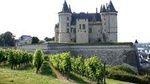 Small Group Wine-Day Trip from Paris: Chambord Castle and Loire Valley Wines