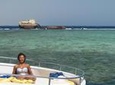 Tiran Island Snorkeling Day Trip from Sharm el Sheikh