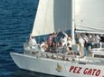 Sunset Party Cruise in Los Cabos aboard the Pez Gato