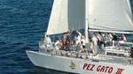 Sunset Party Cruise in Los Cabos aboard the Pez Gato