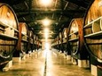 Noilly Prat Vermouth Cellar Tour and Tastings in Marseillan