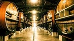 Noilly Prat Vermouth Cellar Tour and Tastings in Marseillan