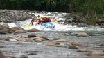 White Water Rafting Reventazón River From Puerto Viejo |Limon