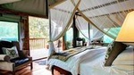 4-Day Private Luxury Garden Route Tour from Cape Town