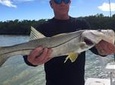 Marco Island Inshore Fishing Charters