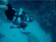 Advanced Open Water Dive Certification in Tamarindo