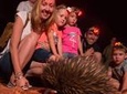 Alice Springs Desert Park Nocturnal Tour