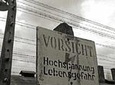 Auschwitz-Birkenau Museum Full-Day Tour from Krakow