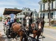 Daytime Carriage Tour of Historic Charleston