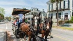 Daytime Carriage Tour of Historic Charleston