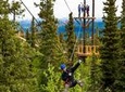 Denali Park Zipline Adventure