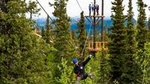 Denali Park Zipline Adventure