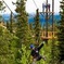 Denali Park Zipline Adventure