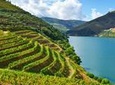 Douro Valley Small Group Tour: Visit Three Wineries with Wine Tastings and Lunch