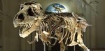 Field Museum of Natural History Admission