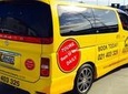 Full-Day Auckland Scenic Tour