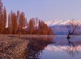  Arrowtown and Wanaka Premium Tour from Queenstown