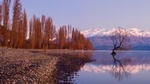  Arrowtown and Wanaka Premium Tour from Queenstown