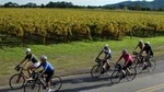 Full-Day Napa Valley Bike + Wine Tour