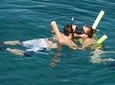 Glass Bottom Boat and Snorkeling Combo in Bermuda