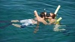 Glass Bottom Boat and Snorkeling Combo in Bermuda