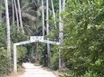 Jozani Forest Reserve Half-Day Guided Tour from Zanzibar
