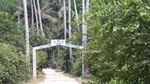 Jozani Forest Reserve Half-Day Guided Tour from Zanzibar