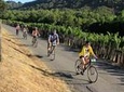 Half-Day Napa Valley Bike + Wine Tour
